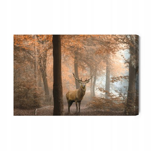 Bilder an der Wand Bild Magischer Waldmoment 100x70cm