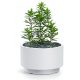  Prosperplast Blumentopf 29,8 cm x 29,8 x 19 cm Durchmesser 29,8 cm Kunststoff weiß