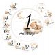  Baby-Fotokarte in Farbe