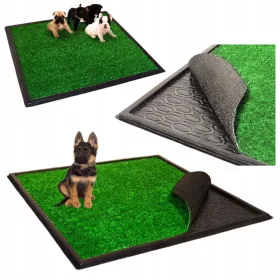  Florazoo Katzentoilette für das Sauberkeitstraining