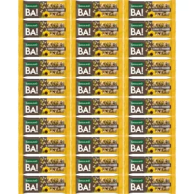   GO ON Nutrition Proteinriegel 33% 25x50g - Zuckerfrei und Proteinreich