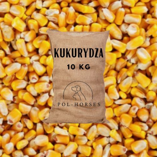 Maiskörner 10kg Futterköder für Hühner