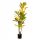  Künstliche Pflanze TROPICAL ZONE Chamäleon 120 cm HOMLA