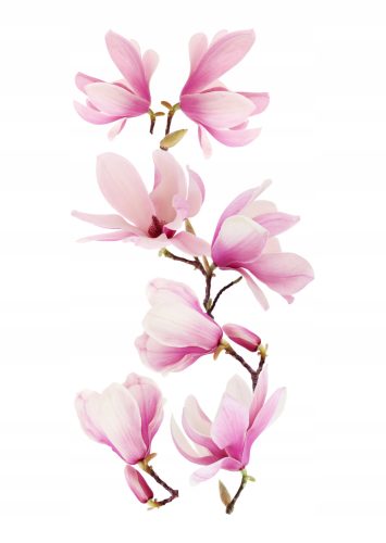  Wandaufkleber, Spiegel, Möbel, Blumen, Blumen, selbstklebende Magnolie