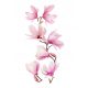  Wandaufkleber, Spiegel, Möbel, Blumen, Blumen, selbstklebende Magnolie