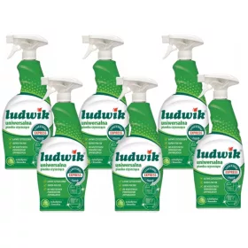  6er Set Ludwik Universal Reinigungsschaum 0,75l Limette