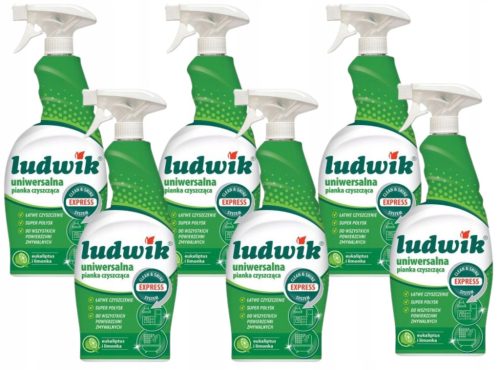  6er Set Ludwik Universal Reinigungsschaum 0,75l Limette