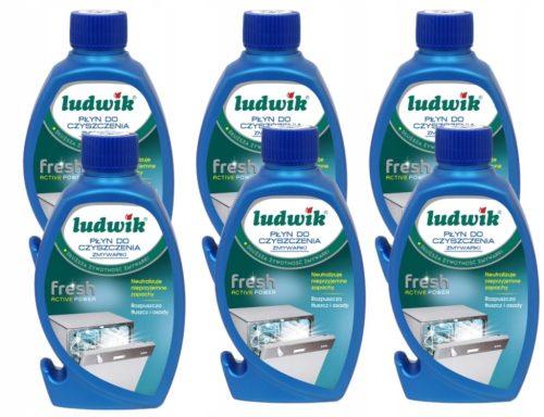  Ludwik Spülmaschinenreiniger 250ml