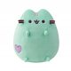  PUSHEEN MINT mit einem Herzmaskottchen 19cm HAPPY
