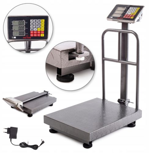 Plattformwaage 300 kg x 100 g