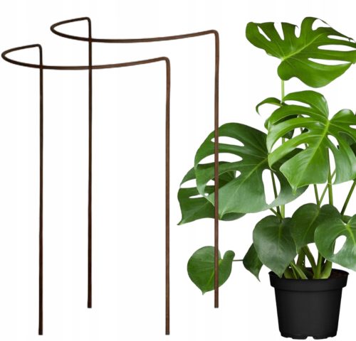  2× Stütze für Büsche, Blumen, Pflanzen Pergola D40 H60cm einzeln halbrund