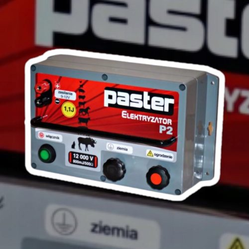 PASTER P2 Elektrisierer – UV-/regenbeständig, 12/230 V – Poliert, kraftvoll!