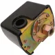  Omnigena Hydrophor-Set-Pumpe 1300 W 6000 l/h