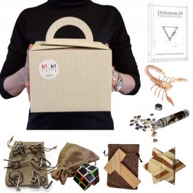    LOGIC BOX – ein Geschenk für logisches Denken, Spaß und Bildung in jedem Alter