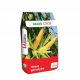  RYWAL MAIS 50.000 TAUSEND SAMEN MAIS CROP FAO 210