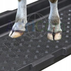 Badewanne zum Waschen und Desinfizieren der Hufe