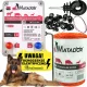 ELEKTRISCHES HIRTEN-SET für HUNDE, PFERDE, HUNDE, Weidezaungerät, Geflecht, ISOLATOR