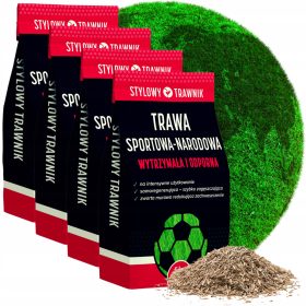    Ziergras, Grasmischung, für schattige Bereiche, Garten, Sport Stylowy Trawnik 800 m² 20 kg