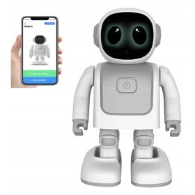    ROBOTER ROBERT INTERAKTIVER ROBOTER zum Programmieren und Codieren