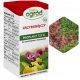  Proplant 722 SL Fungizid 0,1l