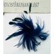  Kopfschmuck BROSCHE PIN Kopfschmuck FEDER MARINEBLAU