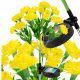  Eddcom eingebettete Solarlampe, weiß, 70 cm, 1 Stk.