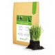  Mykorrhiza für Rasen Symbiom TurfComp 20 kg