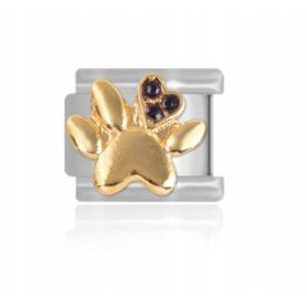  Zellmodul Maybeme Golden Dog's Paw