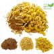  10 KG PASTA FÜR HUNDE PASTA-SET MIX TROCKENFUTTER PASTA 5KG + 5KG