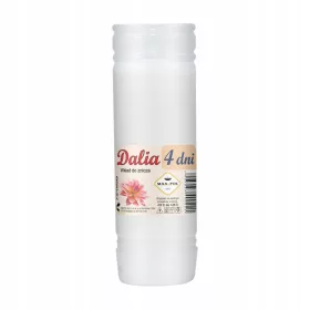  Paraffineinsatz für Kerzen Max-Pol 18 cm