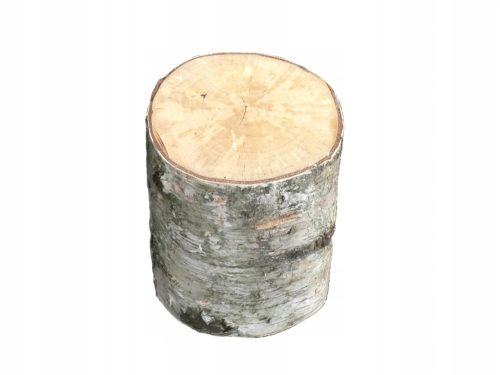  Gartenstumpfstammkamin BIRKE Kratzbaum 25 cm