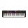  CASIO CT-S1000V TASTATUR MIT SPRACHSYNTHESE - NEU!