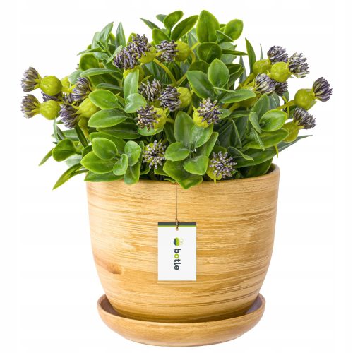  Botle-Blumentopf, 30,5 cm x 30,5 x 25 cm, Durchmesser 305 cm, Keramik in Gelb- und Goldtönen
