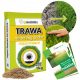  Gras für trockene Bereiche, Garten Egarden 40 m² 1 kg
