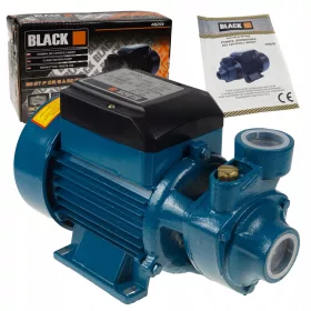  Schwarze 900 W Oberflächenpumpe 3300 l/h