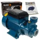  Schwarze 900 W Oberflächenpumpe 3300 l/h