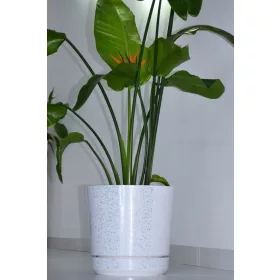    Kerd Blumentopf 31 cm x 32,5 x 31 cm Durchmesser 32,5 cm Kunststoff weiß, chrom, schwarz, Grau- und Silbertöne, mehrfarbig
