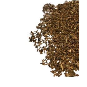 FACELIA blau für Zwischenfrucht, wohlriechend 20 kg