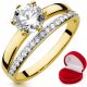  2in1 GOLD JUBILÄUMSRING 333 8K r 20