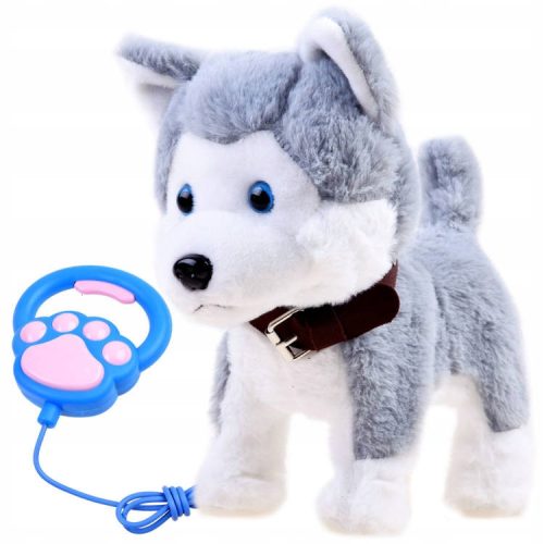  Der interaktive Husky-Hund geht an der Leine und bellt
