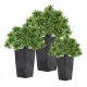  Prosperplast Blumentopf 24 cm x 24 x 44,9 cm Durchmesser 24 cm Kunststoff in den Farbtönen Grau und Silber + 2 weitere Produkte