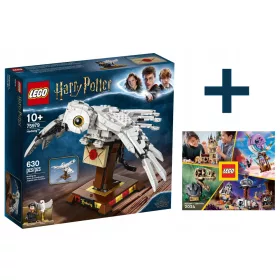  LEGO Harry Potter 75979 Hedwig + LEGO KATALOG 2024 NEU