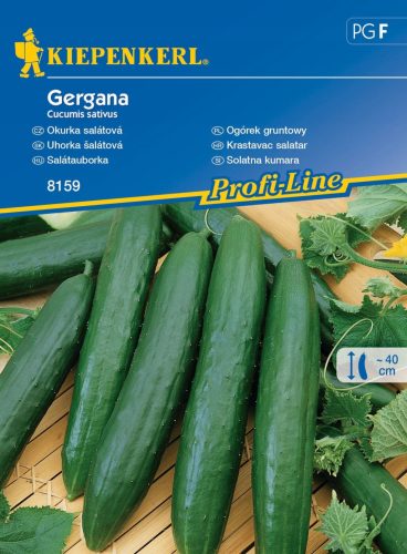  Feldgurke 'Gergana' F1 – Kiepenkerl