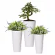  Prosperplast Blumentopf 25 cm x 25 x 47,6 cm Durchmesser 25 cm Kunststoff weiß + 2 weitere Produkte