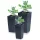  Prosperplast Blumentopf 19,5 cm x 19,5 x 37,5 cm Durchmesser 1 cm Kunststoff in Grau- und Silbertönen + 2 weitere Produkte