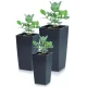  Prosperplast Blumentopf 19,5 cm x 19,5 x 37,5 cm Durchmesser 1 cm Kunststoff in Grau- und Silbertönen + 2 weitere Produkte