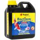  Vorbereitung mit Bakterien für Teiche Tropical 2 l