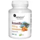Aliness Boswellia 350 mg – 100 Vegane Kapseln für Gelenkgesundheit und Entzündungshemmung