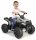  Quad Feber 12541 Schwarz, Grün