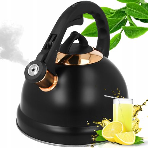  Brunbeste traditioneller Stahlkessel 2,5 l, schwarz